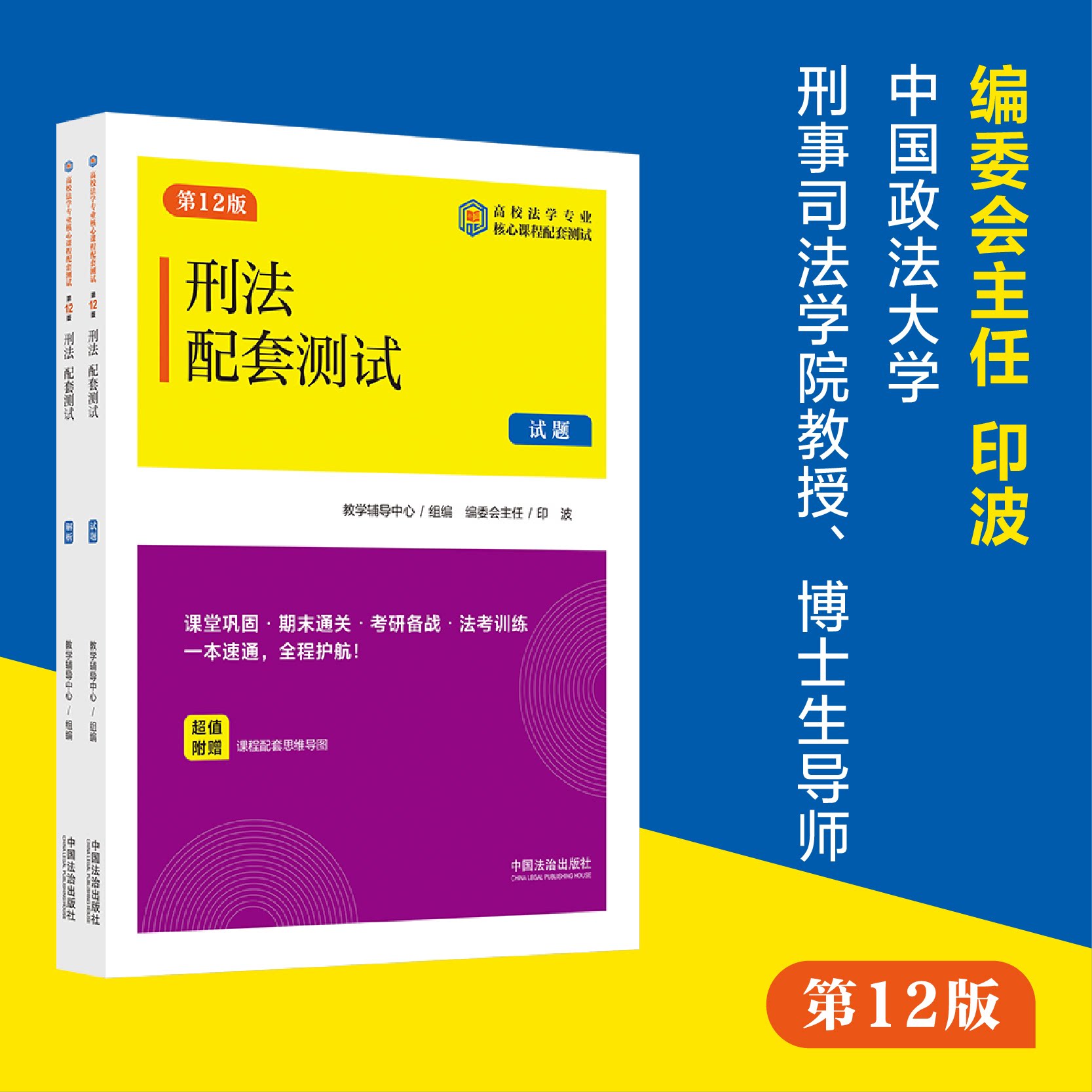刑法配套测试10【第十二版】全2册【高校法学专业核心课程配套测试】高校法学教材法律9787521652901