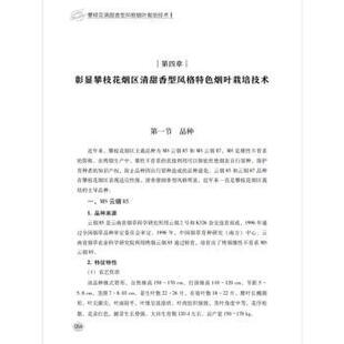 烟叶栽培技术 吕婉茹 四川科学技术出版 包邮 社 9787572716287 攀枝花清甜香型风格 著 正版 唐力为