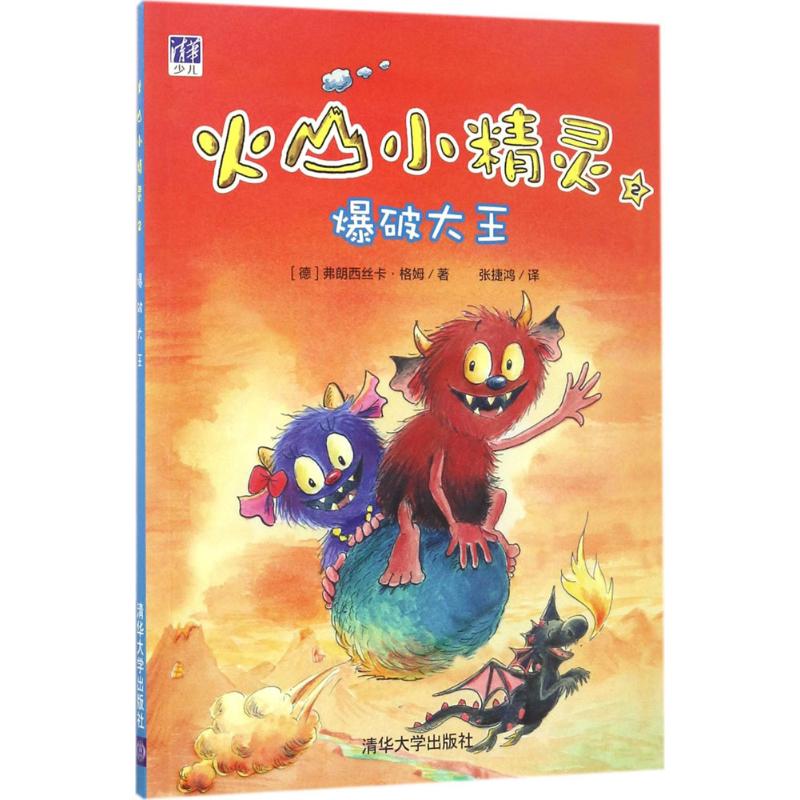 正版包邮 爆破大王 ?z德﹞弗朗西丝卡·格姆 著     张捷鸿 译 9787302457657 清华大学出版社