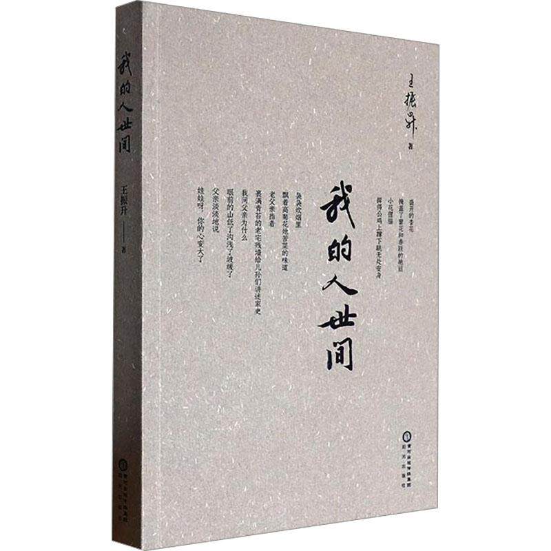 正版包邮 我的人世间 王振升著 9787552571684 阳光出版社