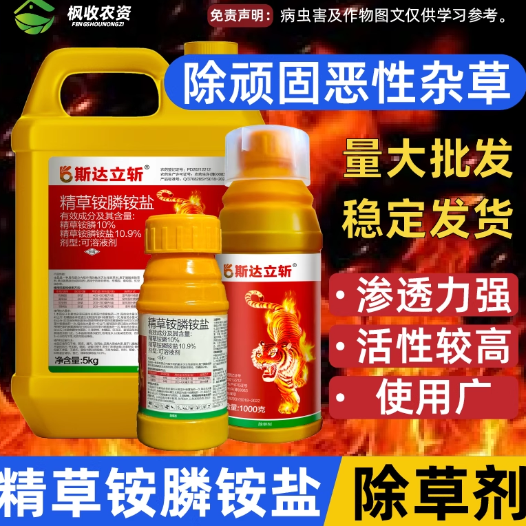 精草胺磷铵盐烂根除草剂草甘氨安林牛筋小飞蓬杂草死根茶果园农药