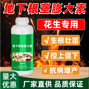 花生根茎膨大素控秧籽粒饱控旺膨壮粒粒宝膨大剂增产专用叶面肥料