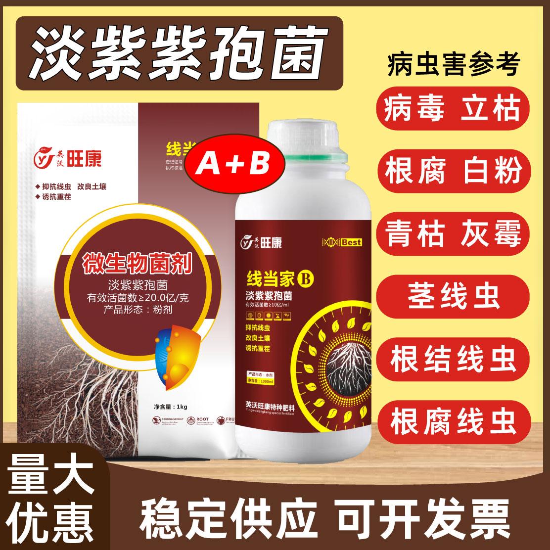 清根结线虫专用药淡紫紫孢菌拟青霉线虫净果树蔬菜花卉杀根线虫药