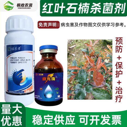 红叶石楠叶斑病黑斑病杀菌剂红斑病石楠球叶子起红斑枯掉叶专用药