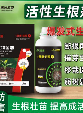 银杏树营养液生根剂移栽扦插公孙树白果生根液壮苗生根粉植物通用