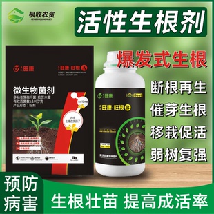 银杏树营养液生根剂移栽扦插公孙树白果生根液壮苗生根粉植物通用