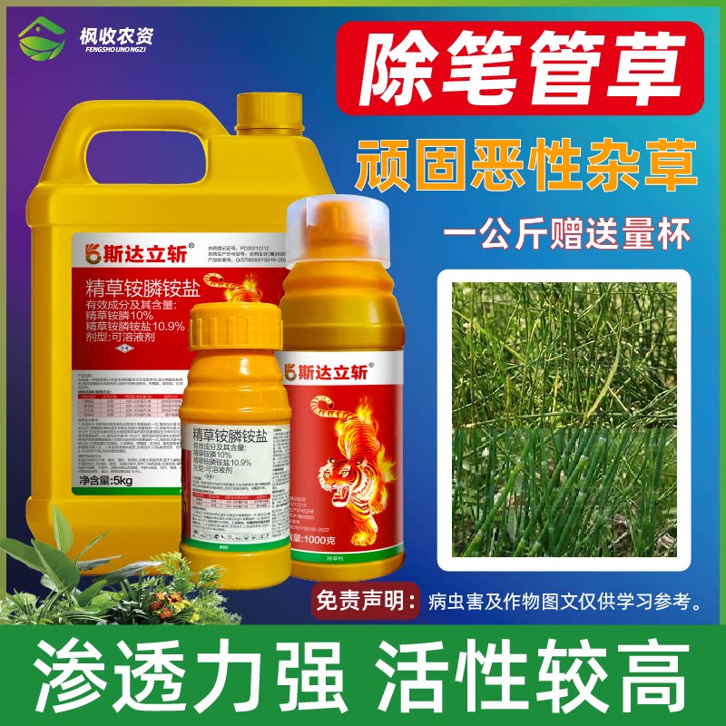 笔管草烂根除草剂笔管草除草接骨草木贼问荆光棍笔杆草除草剂农药