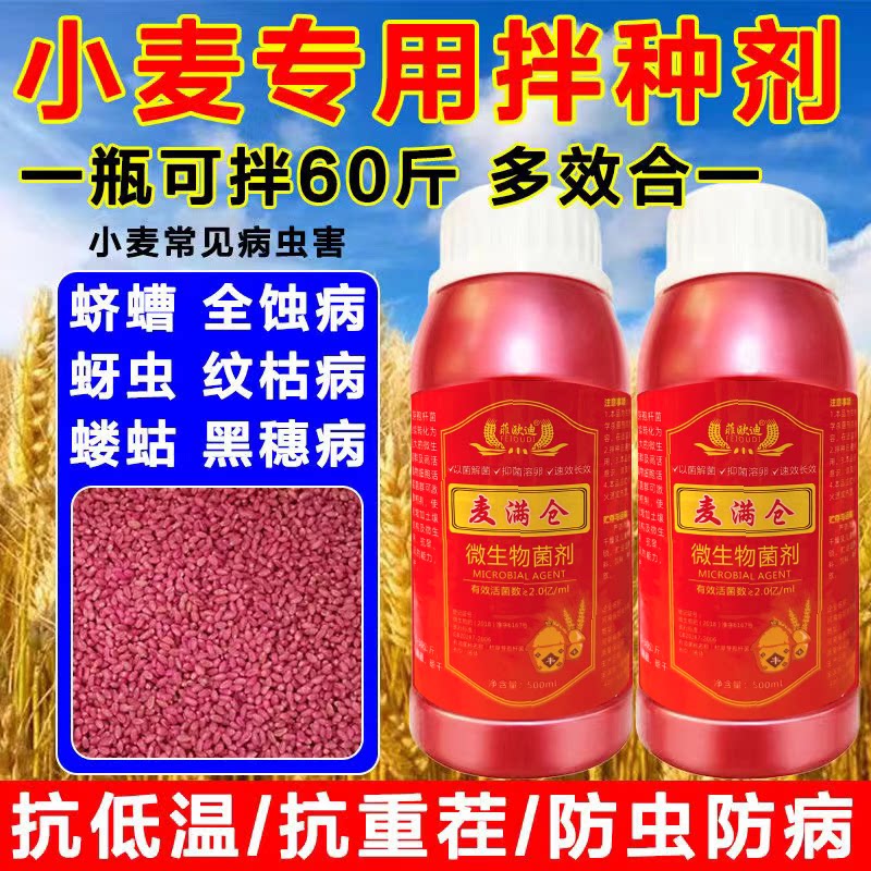小麦拌种剂小麦种子包衣剂专用种衣剂农用麦子生物菌剂防病虫大瓶