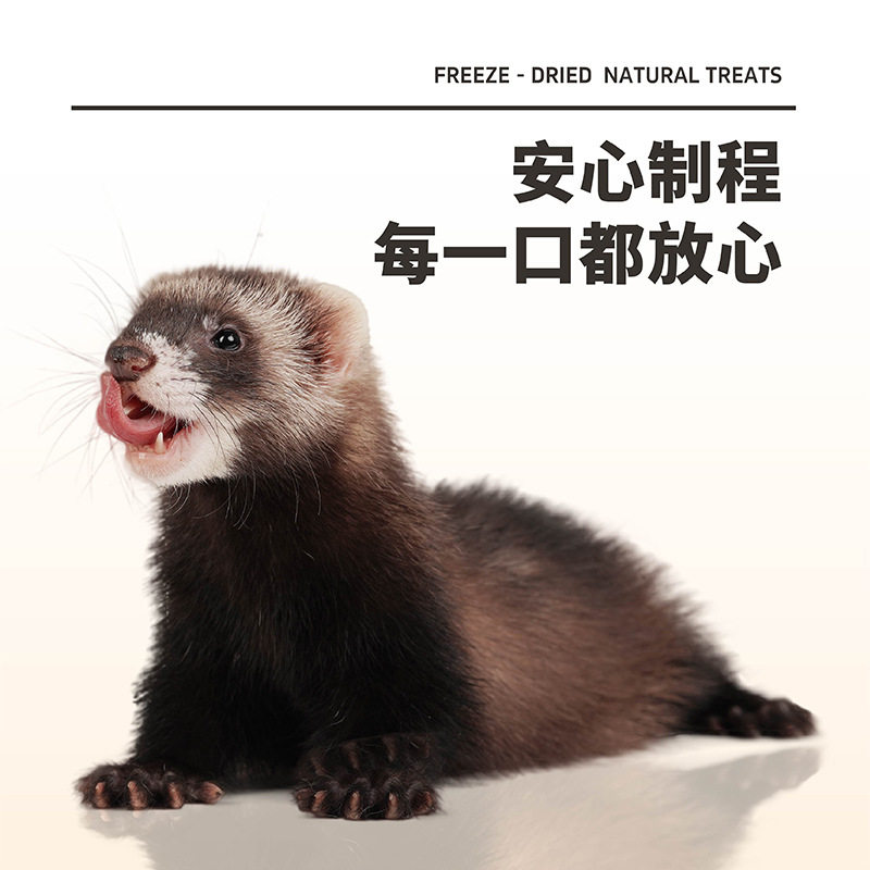 【新品上新】安哥鲁雪貂零食冻干鸡心鸡肝蛋黄鸡脖子营养零食饲料