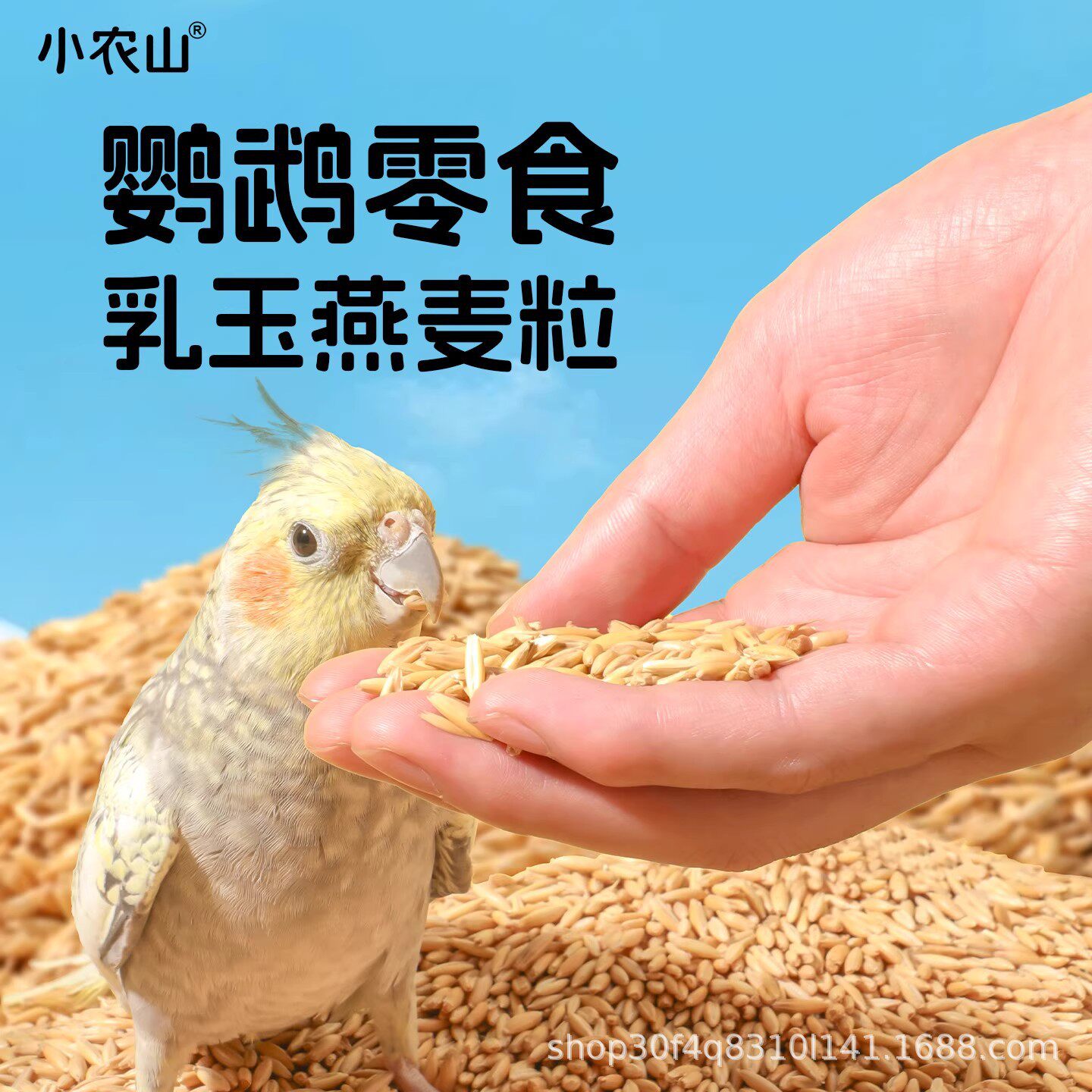 小农山乳玉燕麦籽白玉麦草籽鹦鹉训练奖励零食虎皮玄凤鸟粮