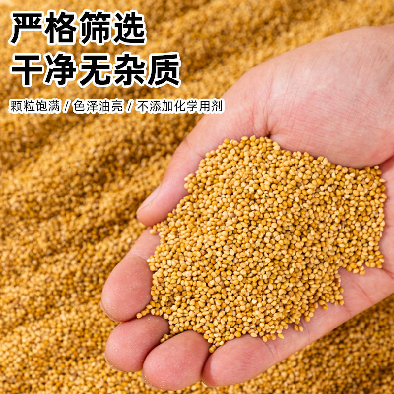 鸟食黄谷子鹦鹉鸟粮山谷子饲料带壳黄小米5斤混合装五色黍子