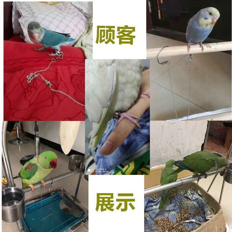 鹦鹉脚环脚链轻便不锈钢鸟链子站架虎皮牡丹开口环脚套活扣鸟用品