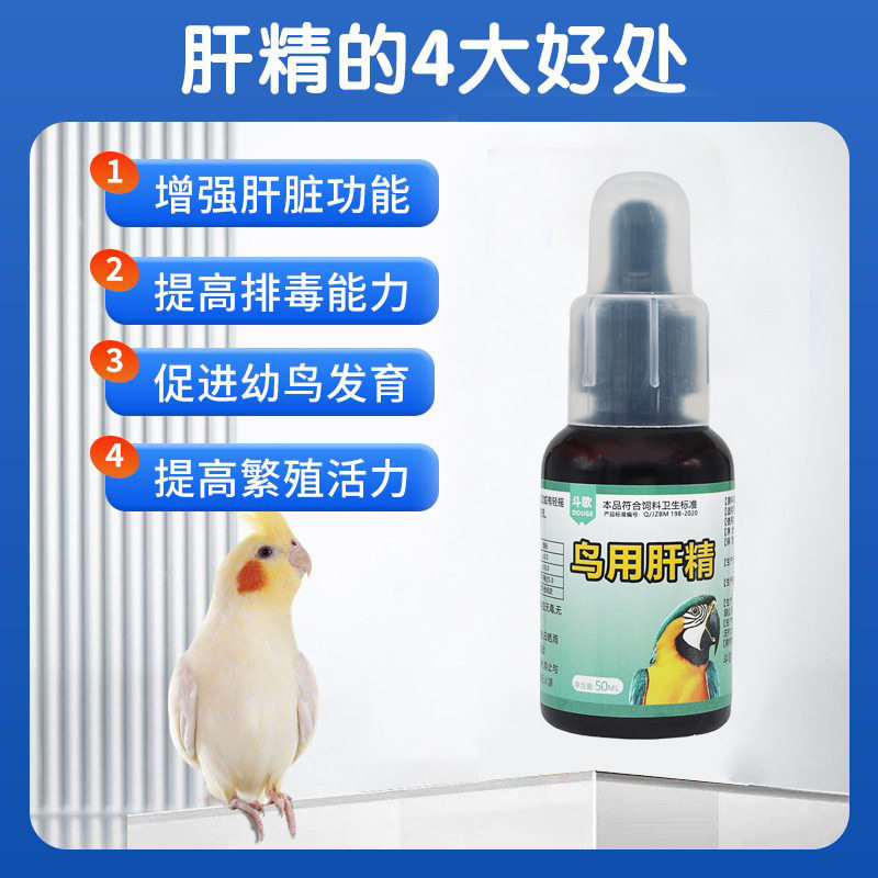 鹦鹉鸟用肝精强肝护肝营养液清除药物残留鸽子药大全