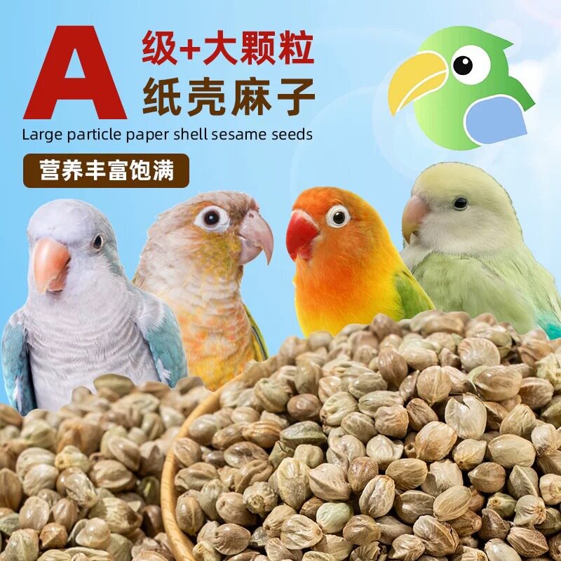 麻子鸟粮 纸壳麻子大粒牡丹鹦鹉粮奖励零食油纸皮火麻籽鸽粮鸟食