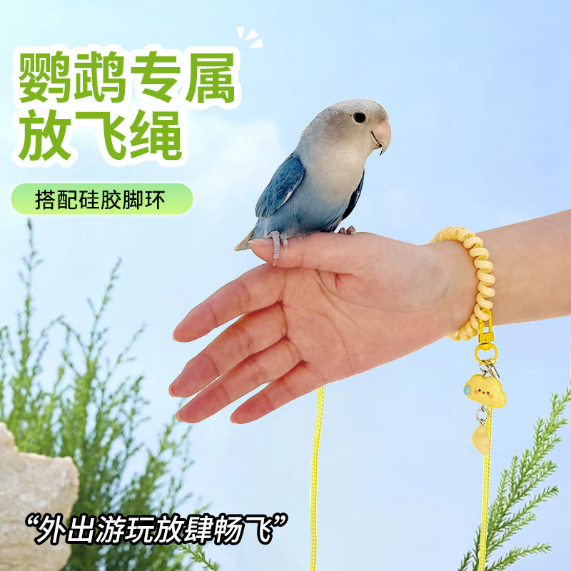 鹦鹉放飞绳超轻伸缩牵引绳玄凤小太阳虎皮外出不伤脚户外遛鸟