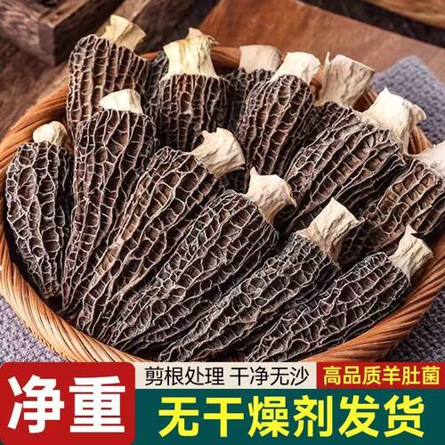 新货特产级羊肚菌干货煲汤