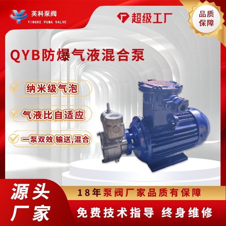 防爆气液混合泵25QYB-2耐腐蚀304不锈钢纳米级自吸臭氧水南方型
