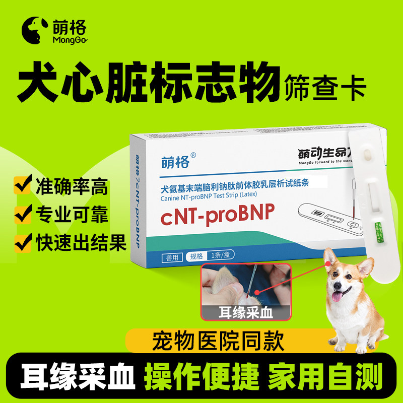 萌格犬狗心脏疾病心肌炎试纸cNT