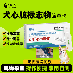 萌格犬心脏问题试纸心脏病狗狗心脏肥大心衰气喘心肌炎症 cNT采耳