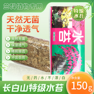 干水苔蝴蝶兰专用青苔兰花石斛专用土苔藓乌龟垫料捕蝇草猪笼草