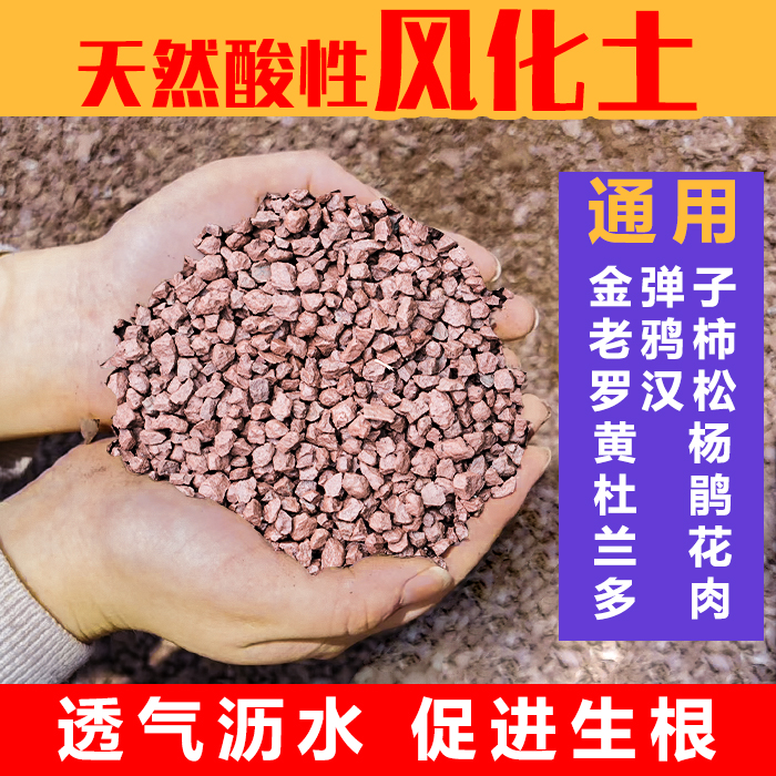 盆景绿植多肉通用营养土风化石·