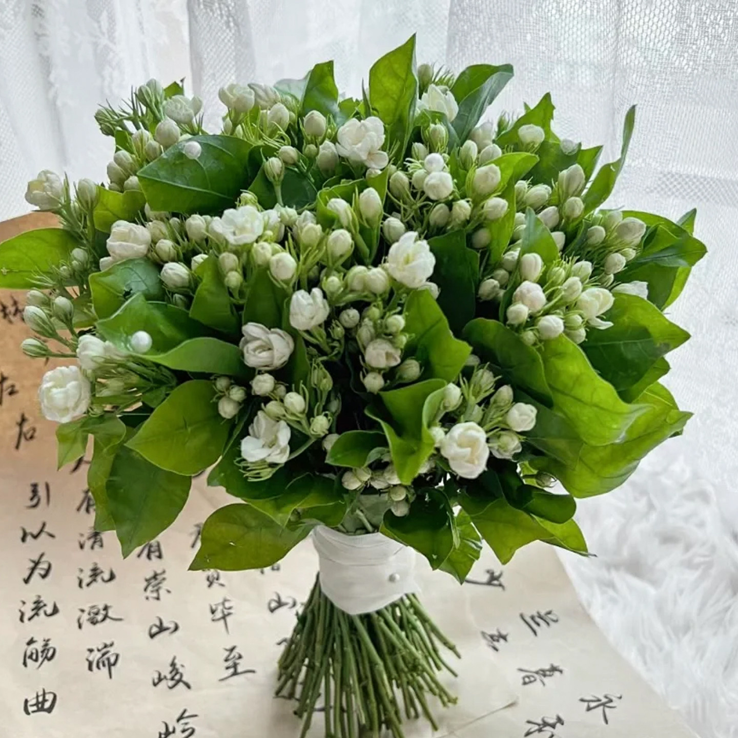 茉莉花鲜花云南基地直发鲜切花室内水养新鲜插花节日礼物顺丰包邮