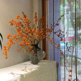 南蛇藤鲜花山归来鲜切枝室内客厅水养新鲜插花蔷薇果水培干枝绿植