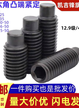 12.9级内六角凸端紧定4.8级GB79黑色圆柱头顶丝M5M6M8M10M12M16