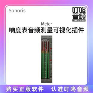 插件 响度表 可视化 音频测量 叮咚音频 Meter