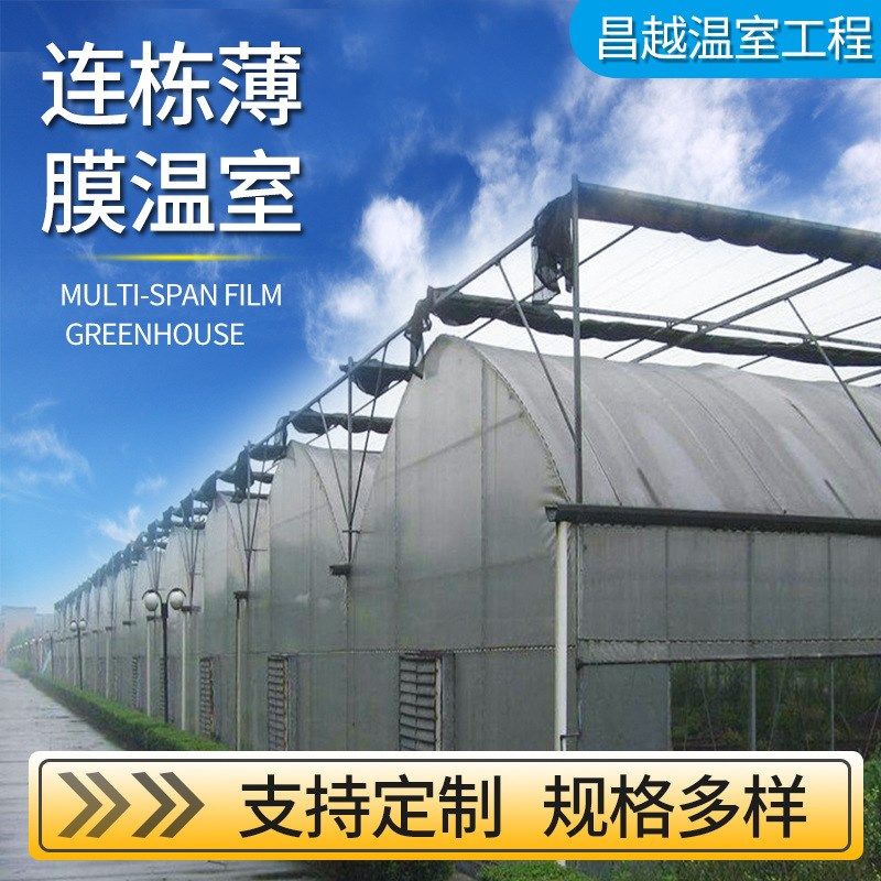 薄膜连栋温室大棚 蔬果种植大y棚 草莓阳光薄膜日光温室花卉养殖,农机/农具/农膜,温室大棚支架,淘宝优惠券,粉丝福利购,淘宝优惠卷