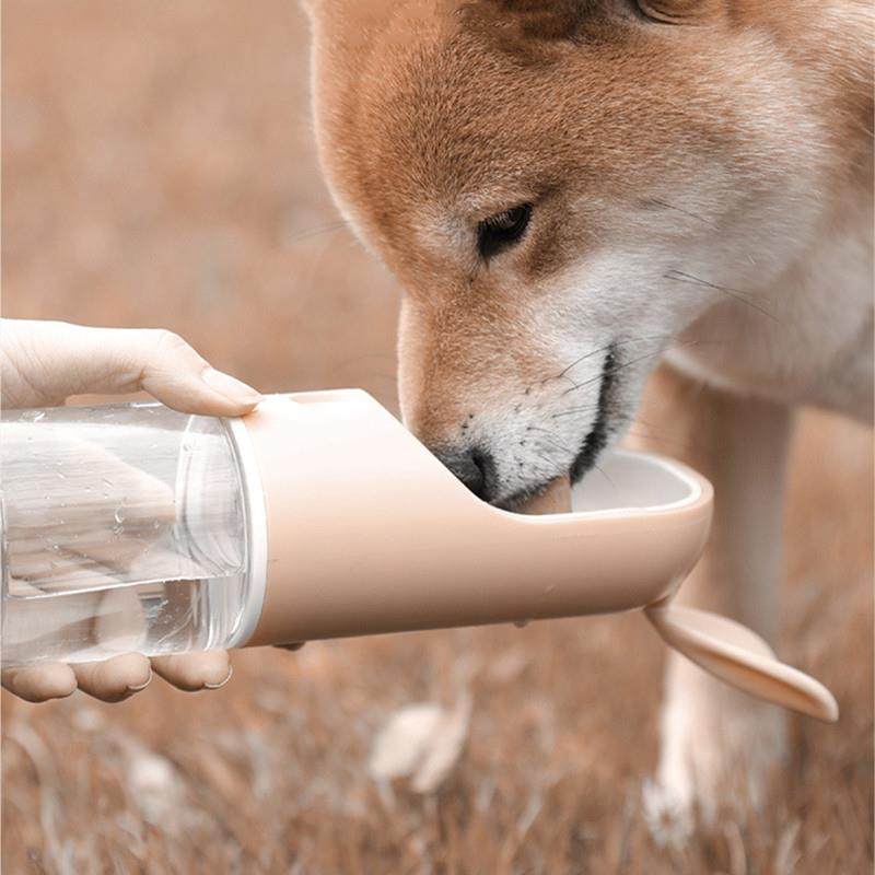 宠物狗狗猫咪水壶饮水器喝水杯水碗外出便携不湿嘴日用品粉色蓝色,宠物/宠物食品及用品,饮水器/水壶/水头,淘宝优惠券,粉丝福利购,淘宝优惠卷