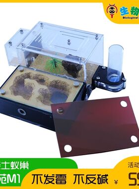 蚂蚁生态箱混凝土平面蚁巢学生宠物蚁后繁殖窝超大型工坊可拓展巢