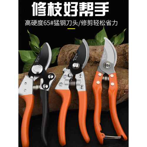 园林园艺修枝剪刀果树粗枝剪花剪省力G剪刀家用手工花枝条剪子锯