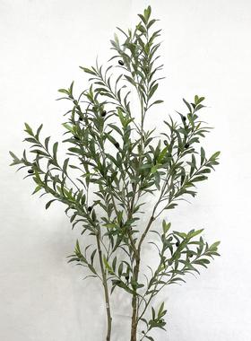 仿树真装饰盆栽 橄榄12000011树米18带果子灰绿色景观树.新中式工