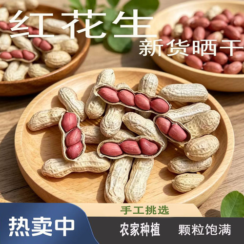 广东红花生新货四粒红皮花生