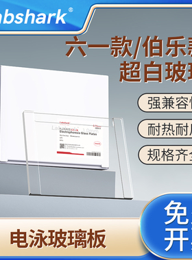 Labshark电泳玻璃板WB蛋白电泳制胶用玻璃板套装伯乐六一款Western Blot