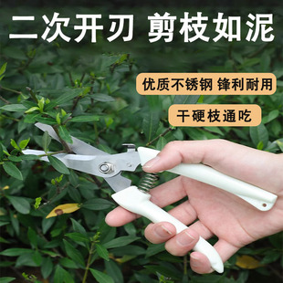 不锈钢树枝修枝剪采摘水果花木剪园林果树花卉枝嫁接园艺剪刀工具