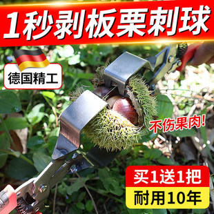 剥板栗刺球神器栗子外壳去皮毛夹脱蓬器开口超省力拨板栗开壳工具