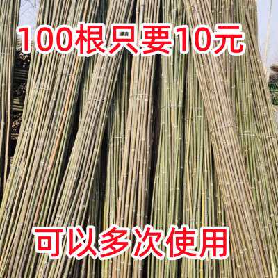 竹竿菜园搭架豆角黄瓜番茄爬藤架园艺篱笆围栏旗杆小竹子竹杆子