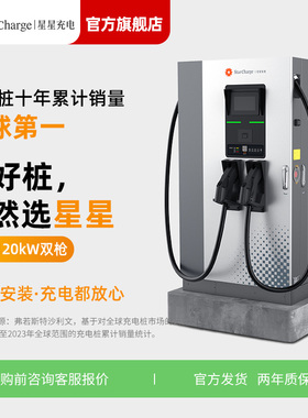【120kW1000V双枪九孔直流】星星充电快充商用/酒店/民宿充电桩