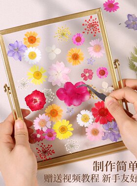 押花diy干花相框摆台成品植物标本玻璃框压花艺手工材料创意礼物