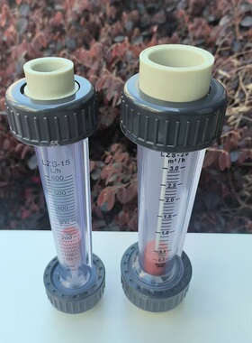 PP/PPH材质塑料管道式转子DN25/32/50/65浮子液体水流量计 流量表