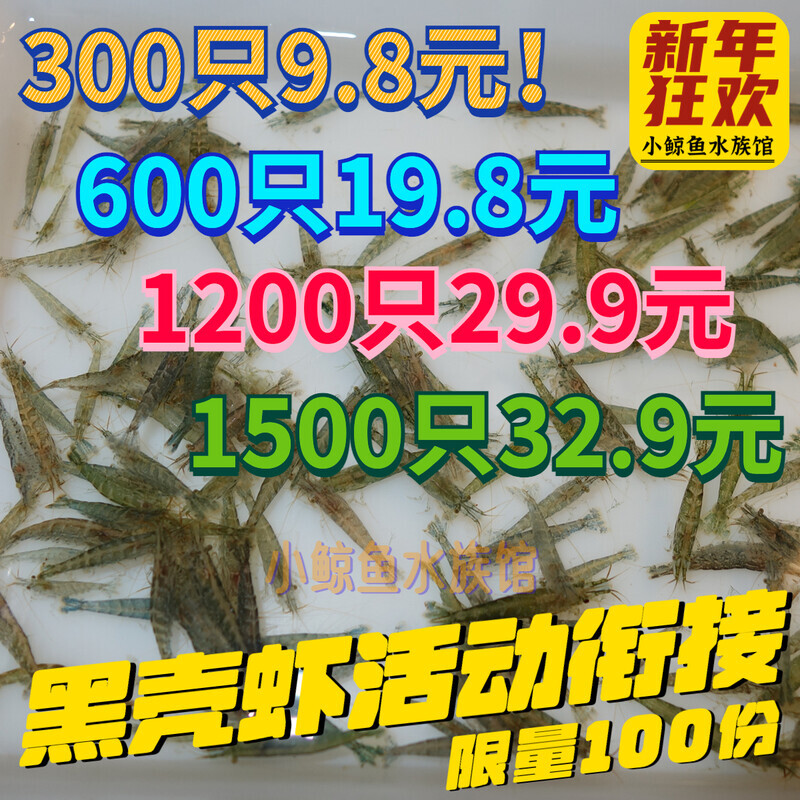 黑壳虾除藻虾工具草缸苹果螺鱼缸造景宠物活体饲料冷水观赏清洁虾