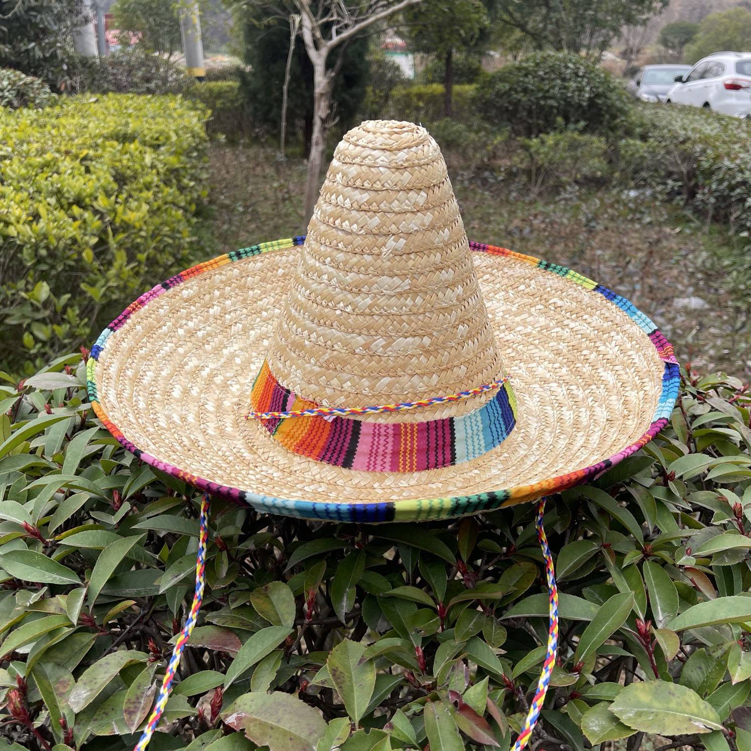 墨西哥草帽成人亲子万圣节派对