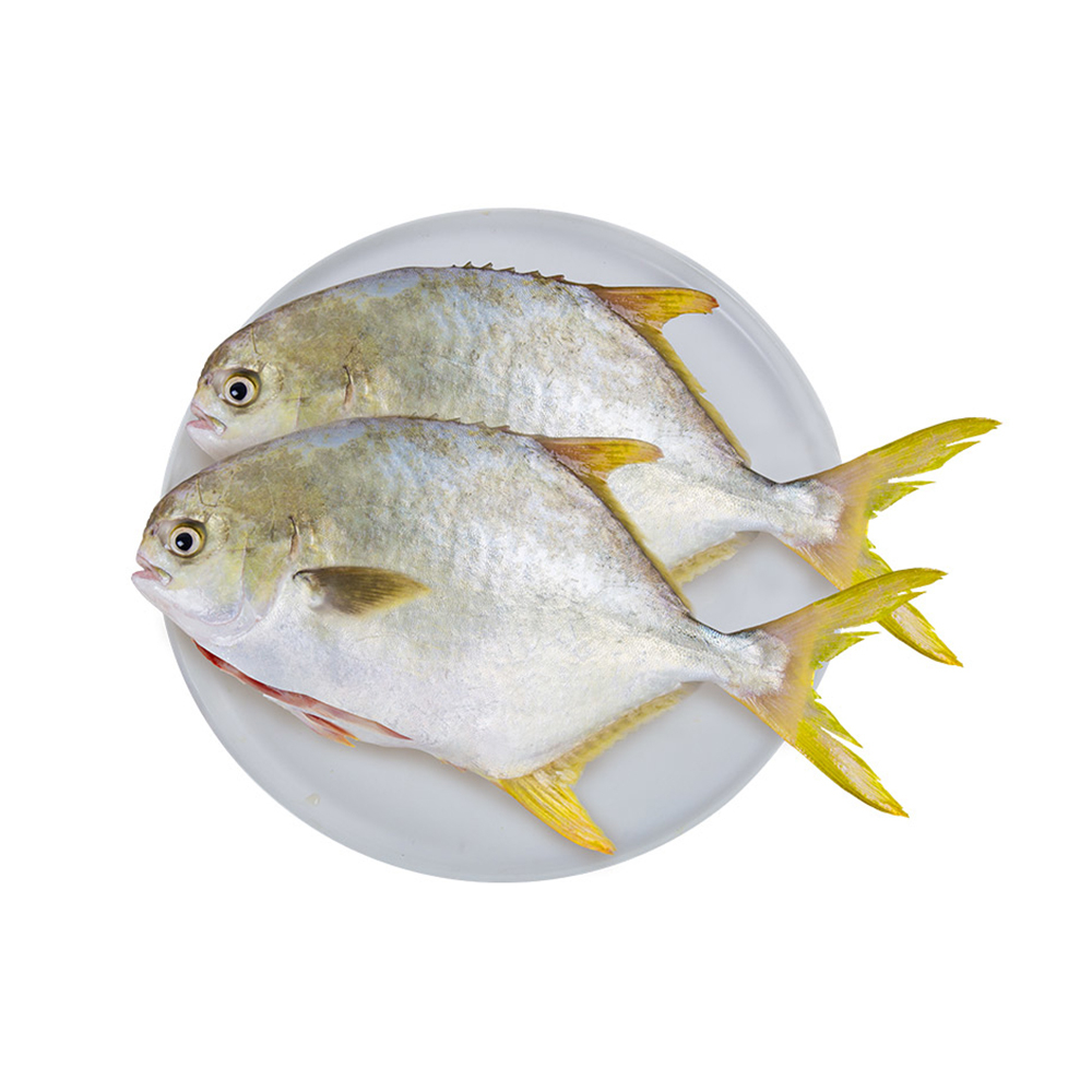 二去金鲳鱼 700g