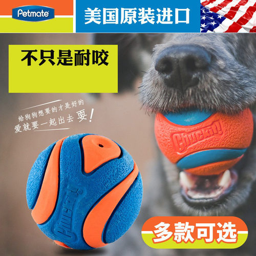 petma狗狗玩具球橡胶球ch