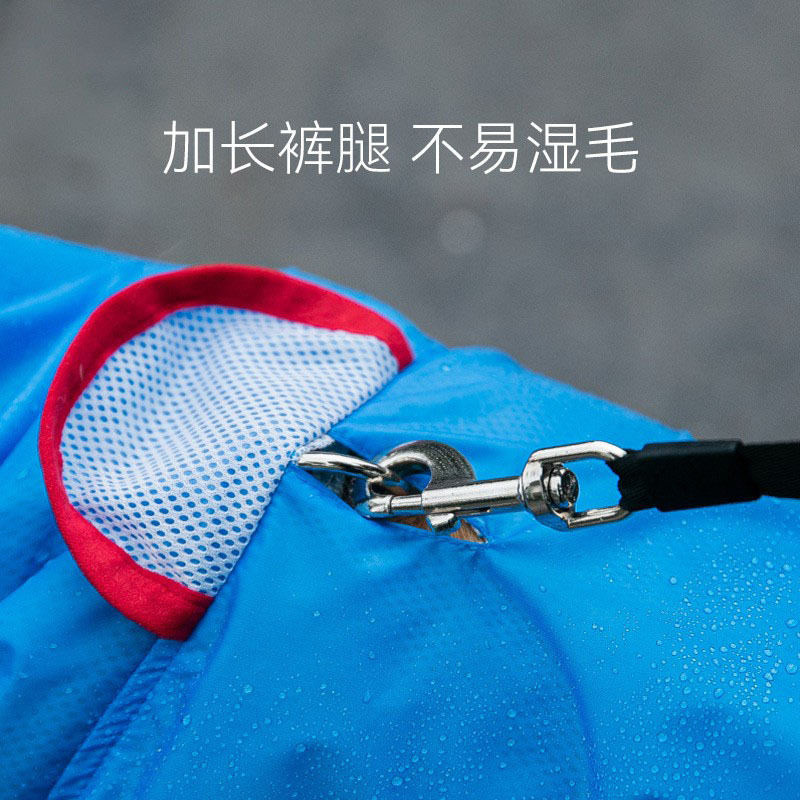 金毛狗狗大狗雨衣中大型