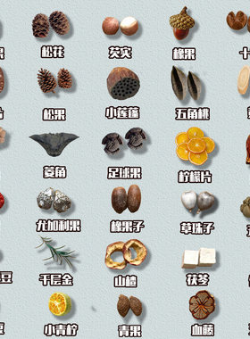中药饰品diy材料包中药手工diy发卡项链中药冰箱贴植物耳饰diy