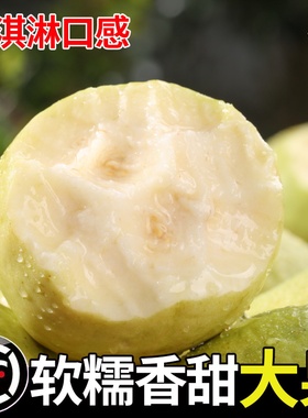 广西软糯奶油芭乐5斤新鲜水果当季白心奶油芭乐番石榴红白双拼