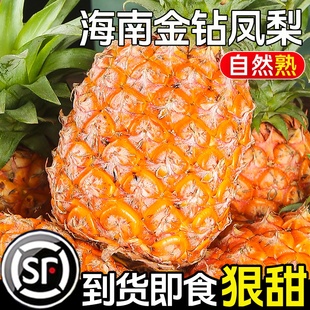 海南金钻凤梨新鲜水果树上熟应当季整箱手撕凤梨非菠萝砖孕妇精选